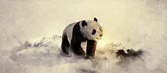淡黄色,大熊猫,国宝,海报banner,卡通,童趣,手绘图库,png图片,网,图片素材,背景素材,2506863@飞天胖虎