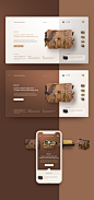 Camera Bag Store : Inspiration Design for a ecommerce website