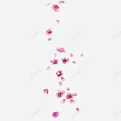 花瓣浮漂元素 粉色 粉色桃花 花瓣雨 飞杨的花瓣 免抠png 设计图片 免费下载 页面网页 平面电商 创意素材