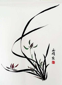 不珊不饰采集到兰花
