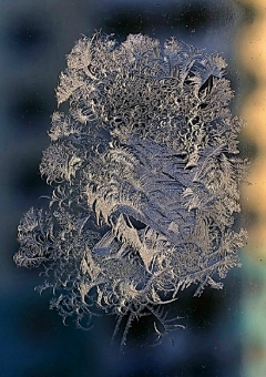 爱而不得·采集到雪