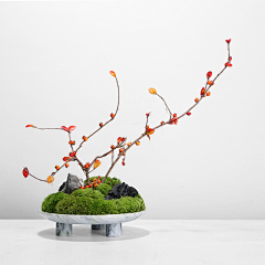 shawyen采集到插花