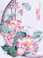 花卉插画水彩