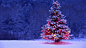 Merry Christmas by Pixeltron on 500px