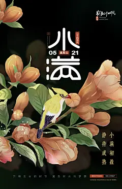 小满二十四节气海报