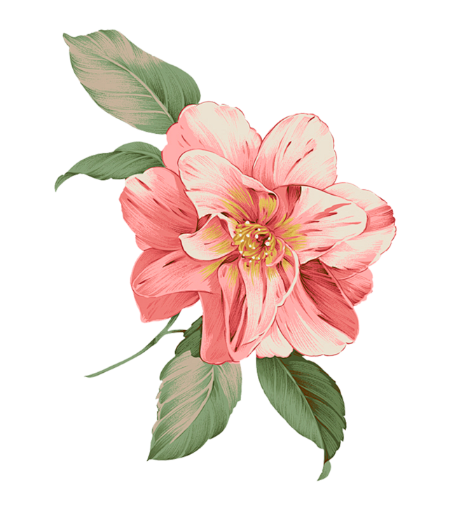 插画花 (6)@北坤人素材