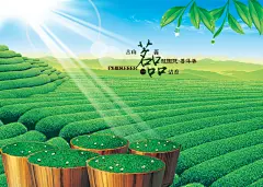 茶艺