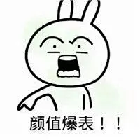 就是他表情包_360图片