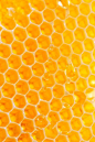 Honey use and production has a long and varied history. In many cultures, honey has associations that go beyond its use as a food. Honey is frequently used as a talisman and symbol of sweetness.: 