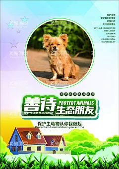 动物海报  - 源文件下载【酷图网】动物海报,狗海报,爱护动物,保护动物,可爱的小狗
