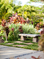 Tropical Home Design, Photos & Decor Ideas