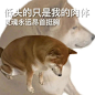 打工人最常用的表情包