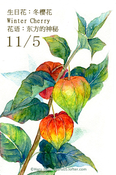 eleven十一11采集到水彩临摹