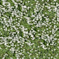 Textures Texture seamless | Flowery meadow texture seamless 12965 | Textures - NATURE ELEMENTS - VEGETATION - Flowery fields | Sketchuptexture