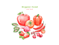 蔬菜水果 苹果 草莓 萝卜 淡彩手绘 水彩插画PSD_平面设计_绘画插图 @飞天胖虎