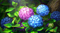 chen-