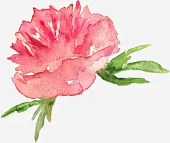 手绘花卉高清素材 唯美花卉 手绘 手绘花卉 手绘花草 月季花 水墨花卉 水彩花卉 牡丹 玫瑰花 绿色植物 花卉 花卉设计 花草 飘落 免抠png 设计图片 免费下载