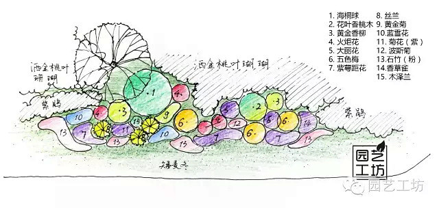 花境设计与施工实践记录|经验分享-花瓣网