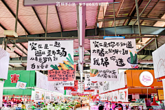 扭younger采集到文案
