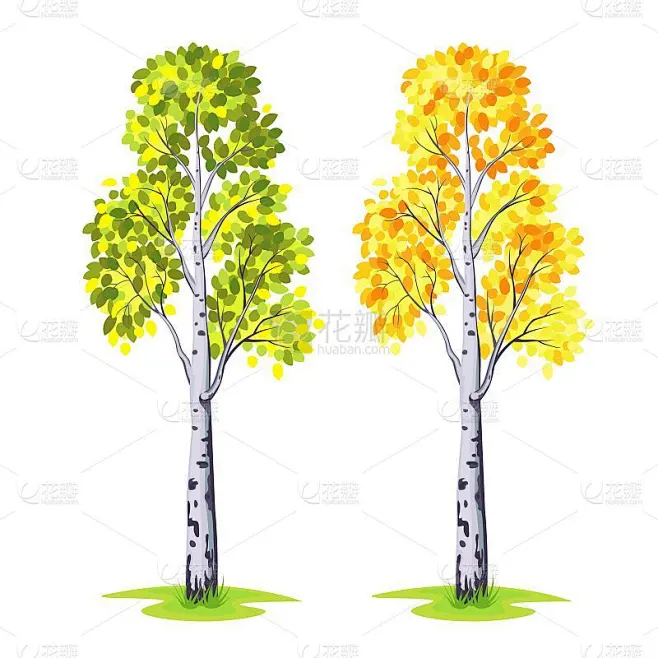 白桦树的背景。矢量插图。素材-花瓣网