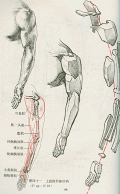 yijing9891采集到艺用人体