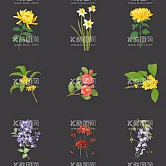 植物花草花朵花卉鲜花插画免抠壁纸  - 源文件下载【酷图网】植物,花草,花朵,花卉,鲜花,插画,二次元,PSD,免抠,分层,原创,设计,绘画,艺术,美术,壁纸,装饰,菊花,兰花,桂花,丁香花,彼岸花,紫罗兰