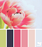 16 flora hues