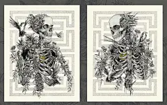 墨西哥Diego Andrade Illustrator骷髅与鲜花插画作品 [57P] 20.jpg