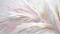 Photo there is a painting of a white and pink feather on a white background generative ai