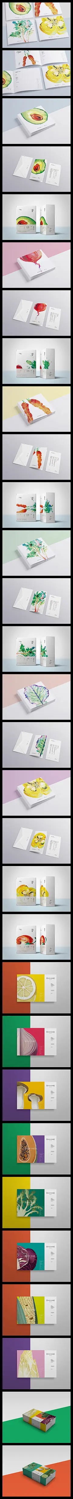 饮食沙拉品牌画册包装