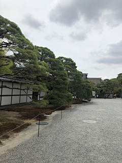 设计师升亚采集到【日本】京都御所