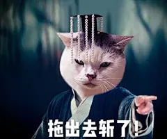 #喵星人小乖##表情包# 我不行了不行了啊哈... 来自伞口组 - 微博