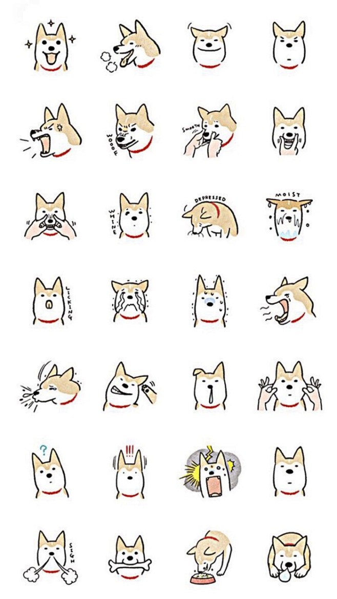 狗 表情包  柴犬