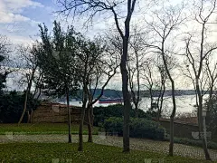 土耳其伊斯坦布尔的一个公园里美好的一天