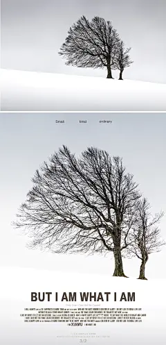 3.2
