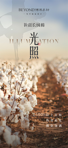 蓝钟儿采集到平面
