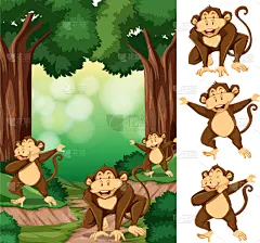 猴子,森林,组物体,分离着色,白色,鸡尾酒,自然,热带雨林,野生动物,装饰