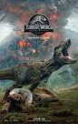 Extra Large Movie Poster Image for Jurassic World: Fallen Kingdom (#2 of 2)