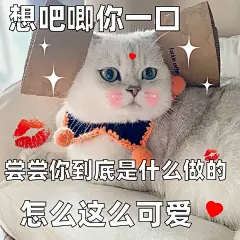 撒娇卖萌，我就是很粘人！撩老公的表情包！ - 小红书