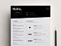 Personal Resume - Light