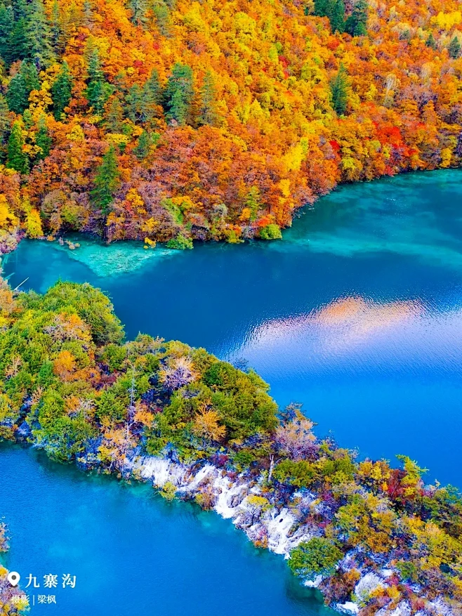 热烈庆祝阿坝州成立70周年 | 揽九寨沟秋景-花瓣网