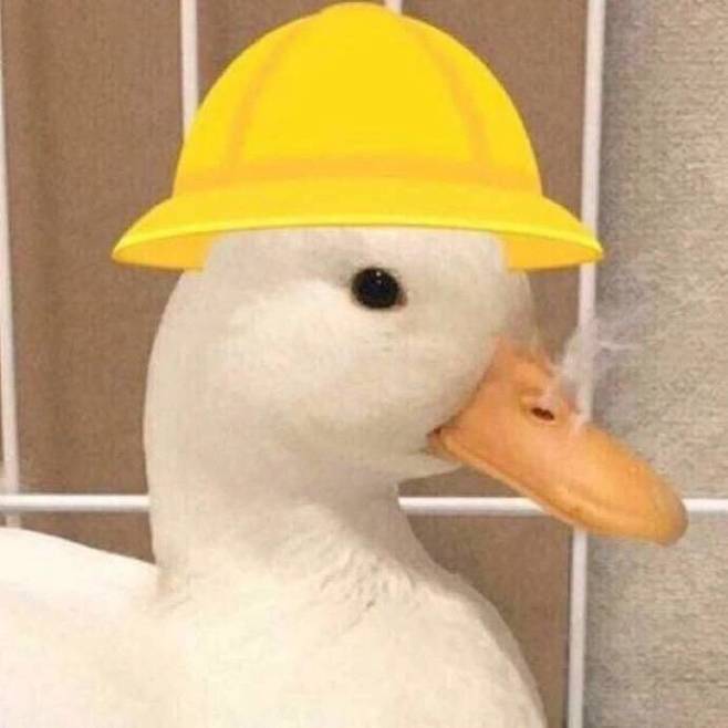 小鸭子头像
