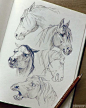 Horses | Tumblr