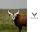 Buance Logo Line by MAXSTRIM_GRAPICH on Dribbble
