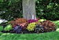 Multicolored coleus -- shade-friendly, for when we finally do the backyard bed: 