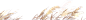 图层-0-拷贝-3