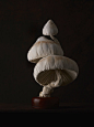 布艺蘑菇。艺术家Mister Finch运用复古的布料创作的菌类雕塑作品，生动地再现菌类生物的形态。