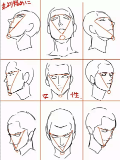 神奇的小羊采集到人体结构-五官
