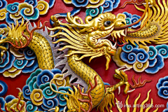 LANG蓝采集到待归类采集