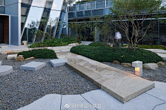 三埋两踩一提苗采集到铺装